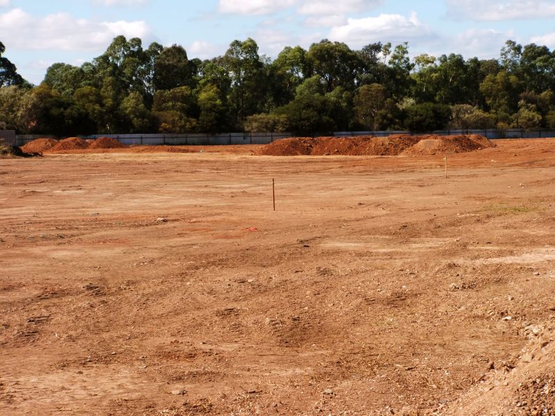 Site Grading and Final Touches