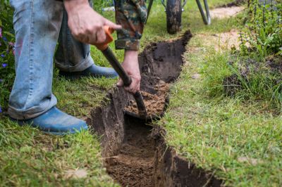 Improves Landscape Health